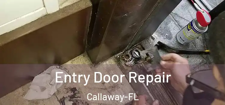 Entry Door Repair Callaway-FL