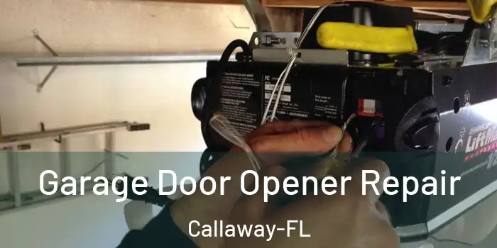 Garage Door Opener Repair Callaway-FL