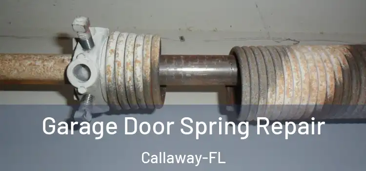  Garage Door Spring Repair Callaway-FL