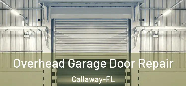 Overhead Garage Door Repair Callaway-FL